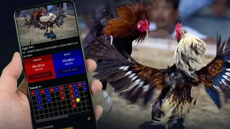 Khám Phá Sảnh Đá Gà E2BET Trực Tiếp Đỉnh Cao Hàng Đầu 1 Khám Phá Sảnh Đá Gà E2BET Trực Tiếp Đỉnh Cao Hàng Đầu