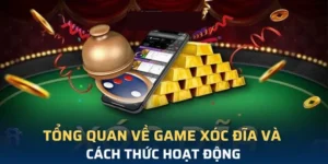 Mẹo Chơi Xóc Đĩa Tại E2BET Luôn Thắng Từ Chuyên Gia